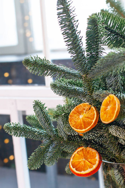 Αποξηραμένα πορτοκάλια στο χριστουγεννιάτικο δέντρο σε βάζο - Φωτογραφία, εικόνα