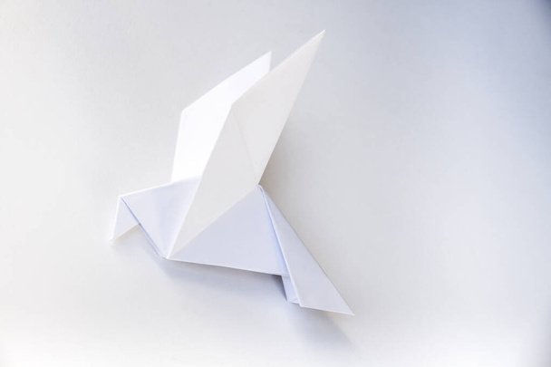 Paper dove origami isolated on a blank white background. - Zdjęcie, obraz