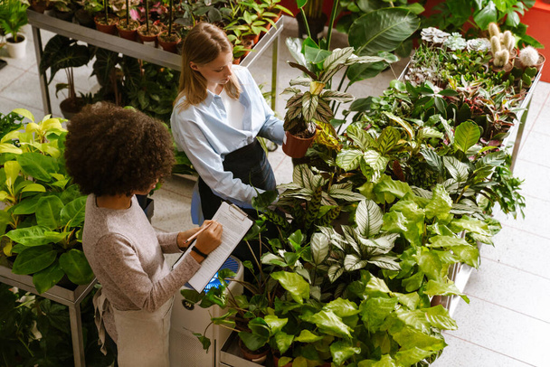 Multinational young florist girls working with potted plants in flower shop - Fotografie, Obrázek