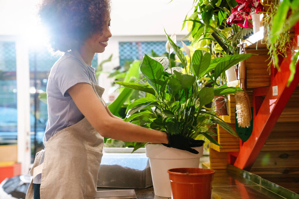 Beautiful young florist girl holding potted plant while working in flower shop - Photo, image