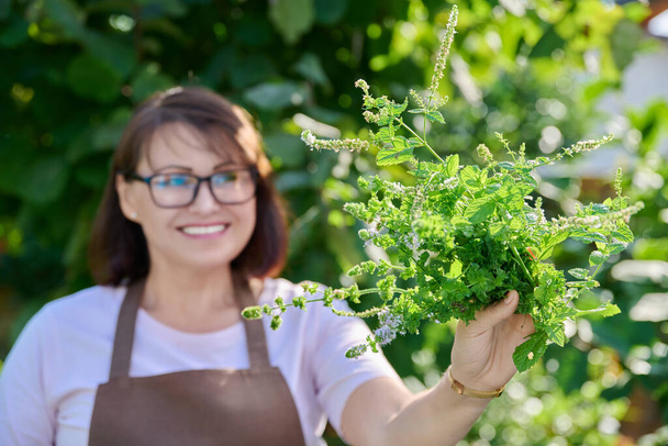 Portrait of female with branches of fresh mint, in garden. Woman harvested mint for culinary. Growing fragrant spicy kitchen herbs - Foto, immagini
