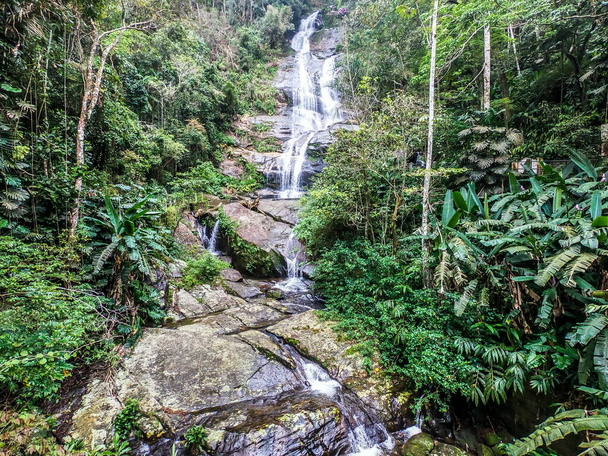 Водоспад Таунай у Національному парку Тіджука в Ріо - де - Жанейро (Бразилія).. - Фото, зображення
