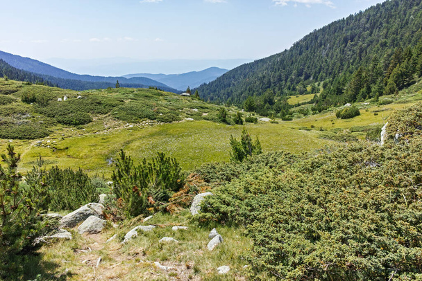 Amazing Landscape of Pirin Mountain mountain near Begovitsa hut, Bulgaria - Foto, imagen
