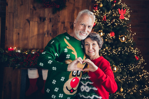 Photo of two idyllic lovely partners touch hands showing heart gesture decorated evergreen garland indoors. - Foto, Bild
