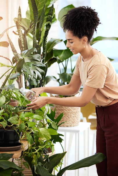 Zwarte vrouw, waterplanten en tuinieren in huis voor gezondheid, verzorging en plantengroei. Lente bloemen, duurzaamheid en vrouwtje uit Brazilië besproeien milieuvriendelijke varens, bladeren en huisplanten in huis - Foto, afbeelding
