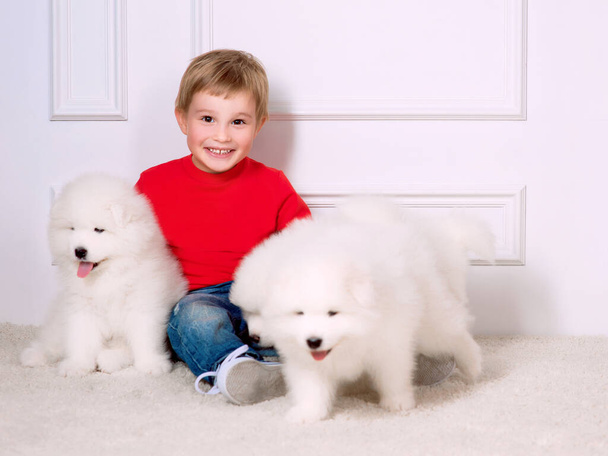 sonriente niño de tres años jugando con cachorro blanco de Samoyed en el estudio - Foto, imagen