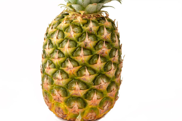 The Pineapple (Ananas comosus), a tropical plant with an edible fruit in family Bromeliaceae that grows as a small shrub; the individual flowers of the unpollinated plant fuse to form a multiple fruit - 写真・画像
