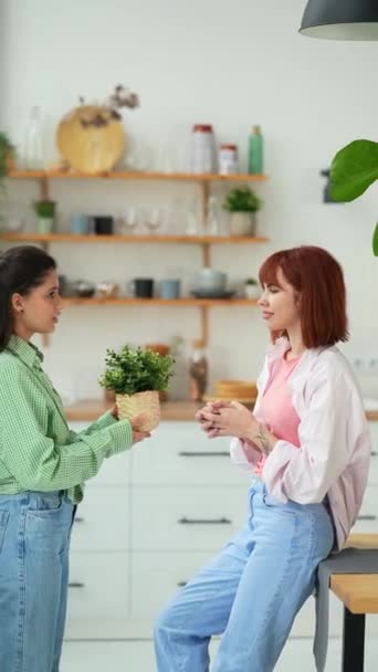 Twee vrouwen praten terwijl ze een kamerplant in hun handen houden. - Video