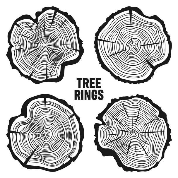 Round tree trunk cuts with cracks, sawn pine or oak slices, lumber. Saw cut timber, wood. Wooden texture with tree rings. Hand drawn sketch. Vector illustration. - Vector, Image