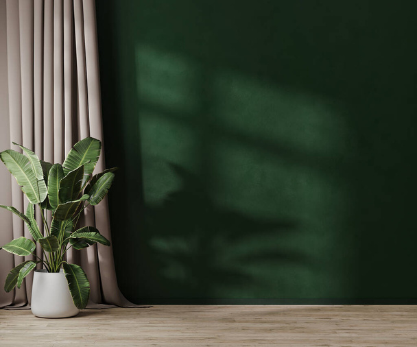Lege groene muur met zonlicht in kamer met groene plant in pol en gordijn, 3d rendering - Foto, afbeelding