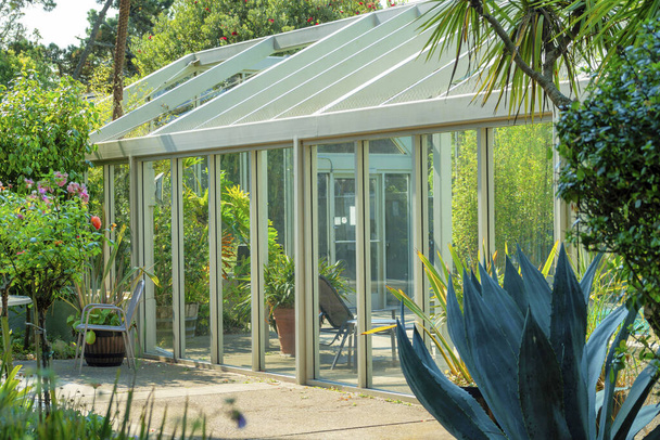 Sunlit greenhouse in backyard garden with trees and foliage. Double gable glass greenhouse with door and sitting area with shaded plants in foreground in suburban area. - Photo, Image