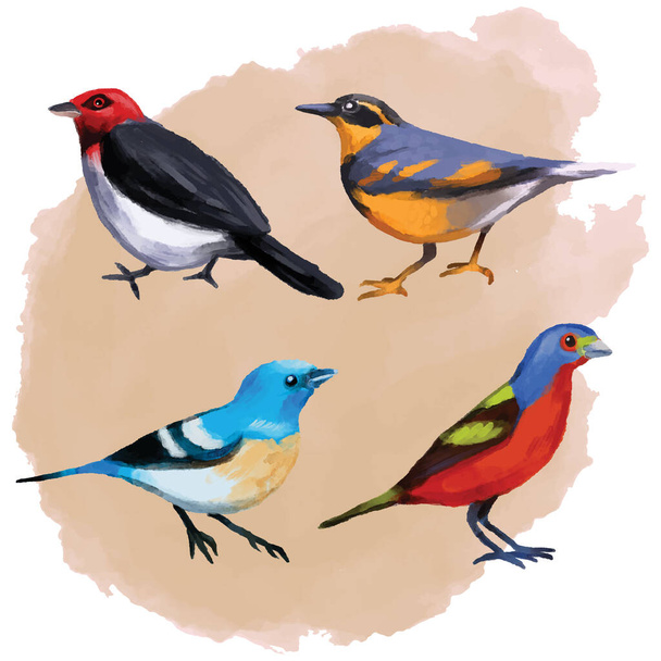 Set of colorful watercolors birds isolated on white background, natural illustration, watercolor birds collection - Vector, Image