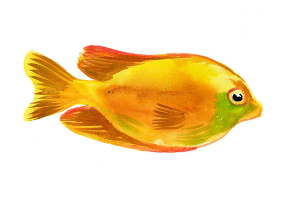Gele tropische vis op witte achtergrond. Inkt en aquareltekening - Foto, afbeelding