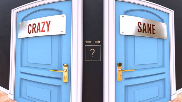Crazy or Sane - a choice. Two options to choose from represented by doors leading to different outcomes. Symbolizes decision to pick up either Crazy or Sane. - Foto, immagini