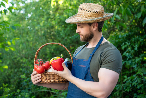 man in straw hat hold basket full of ripe vegetables. - Fotoğraf, Görsel
