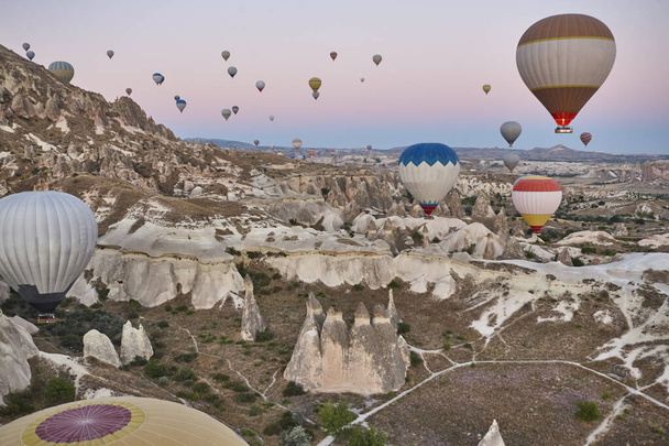 Balloons in rose valley, Cappadocia. Spectacular flight in Goreme. Turkey - Foto, Imagen