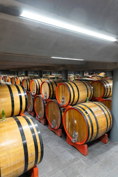 cave à vin pleine de tonneaux en bois à Barolo, Piémont, Italie - Photo, image