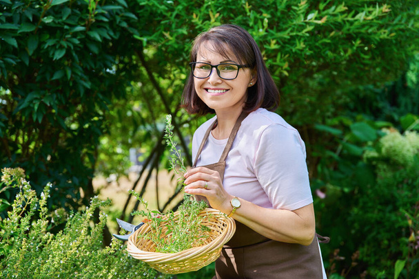 Smiling female looking at camera with savory branch, harvesting spicy fragrant herbs, in summer garden. Delicious natural aromatic kitchen herbs, agriculture cooking gardening concept - Foto, imagen