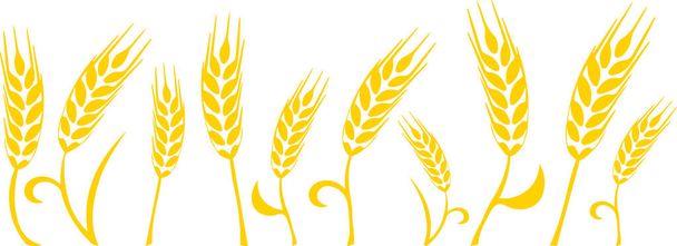 Grafický rámeček se siluetami pšeničných uší zbarvených žlutě na průhledném pozadí - Vektor, obrázek