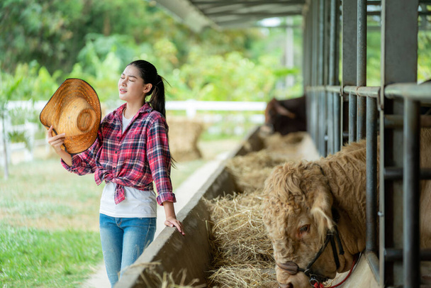 Азиатская молодая женщина-фермер демонстрирует знойное поведение в коровнике на ферме, сельском хозяйстве, людях и животных, сельском хозяйстве. - Фото, изображение