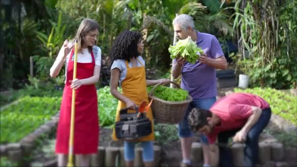 Miejscy ogrodnicy uprawiający rolnictwo ekologiczne trzymający koszyk z sałatą. Grupa zróżnicowanych ludzi w lokalnym gospodarstwie - Materiał filmowy, wideo