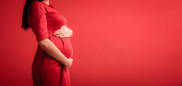 Tummy of pregnant woman - Foto, imagen
