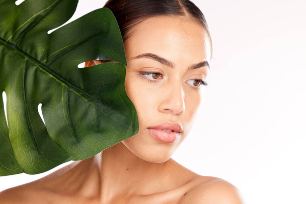 Woman, beauty and face with leaf in skincare for natural healthy cosmetic treatment against a studio background. Female model in leafy luxury facial, makeup and care for perfect skin on mockup. - Foto, Imagem
