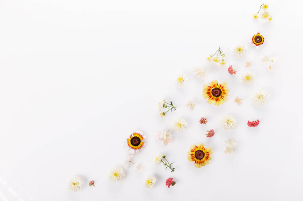 Ανοιξιάτικο πλαίσιο από μικρά λουλούδια και μαργαρίτα, ανθοσυνθέσεις σε λευκό φόντο. Άνοιξη, καλοκαίρι, Πάσχα. Επίπεδο lay, πάνω όψη, αντιγραφή χώρου - Φωτογραφία, εικόνα