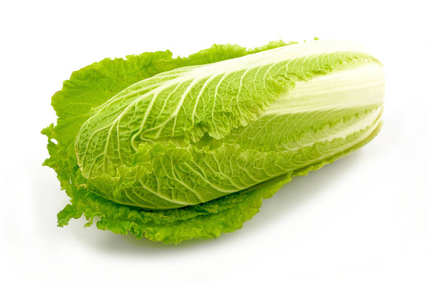 chinese cabbage on a white background - 写真・画像