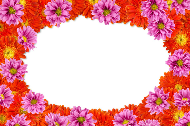 Flowers - Photo, Image