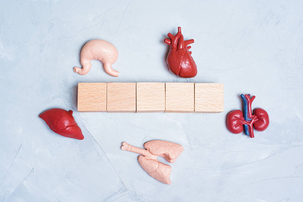 Healthcare and medicine background: toy human body organs placed around blank wooden blocks with copy space on gray. - Foto, Bild