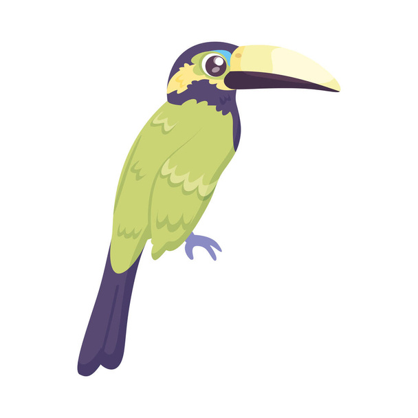 Isolated cute toucan bird icon Vector illustration - Διάνυσμα, εικόνα