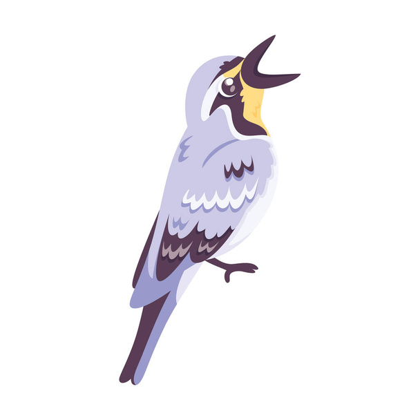 Isolated cute bird icon Woodpecker Vector illustration - Διάνυσμα, εικόνα