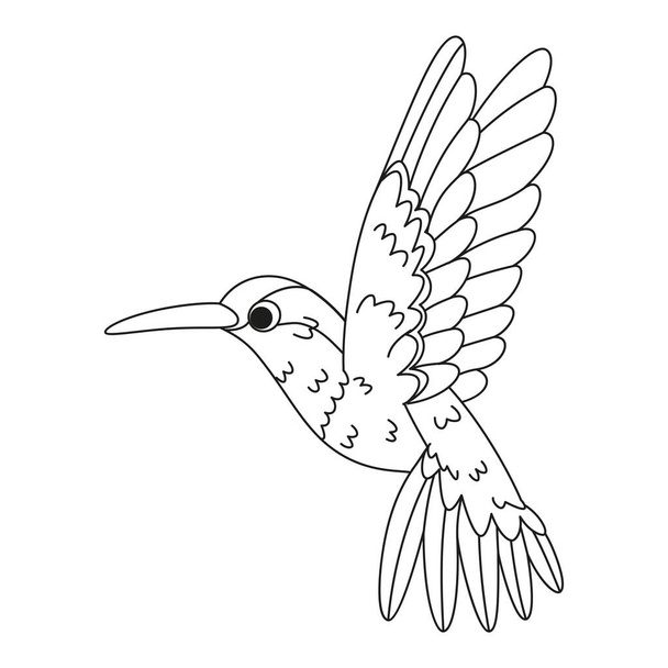 Isolated cute hummingbird bird icon Vector illustration - Wektor, obraz