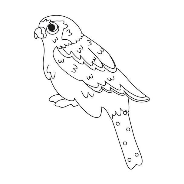 Isolated cute bird icon Animal Vector illustration - Вектор,изображение