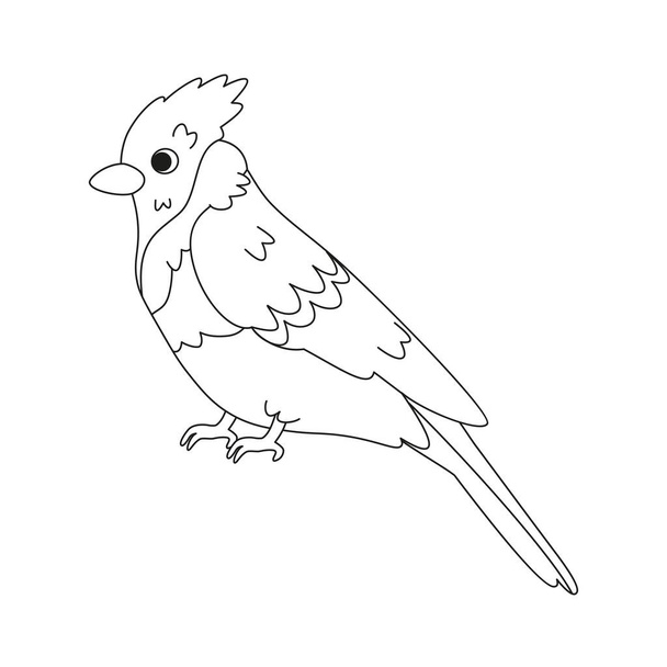Isolated cute bird icon Woodpecker Vector illustration - Вектор,изображение