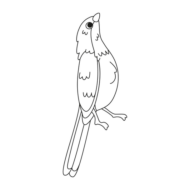Isolated cute bird icon Animal Vector illustration - Διάνυσμα, εικόνα