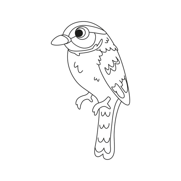 Isolated cute bird icon Animal Vector illustration - Vektori, kuva