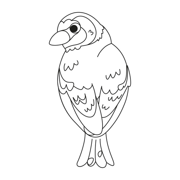 Isolated cute bird icon Animal Vector illustration - Vektor, Bild