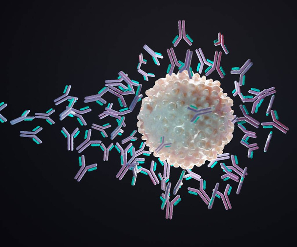 Un antígeno es una molécula que inicia la producción de un anticuerpo y causa una respuesta inmune 3d - Foto, Imagen
