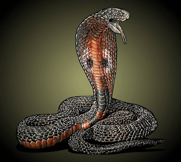 cobra snake side view vector template - ベクター画像