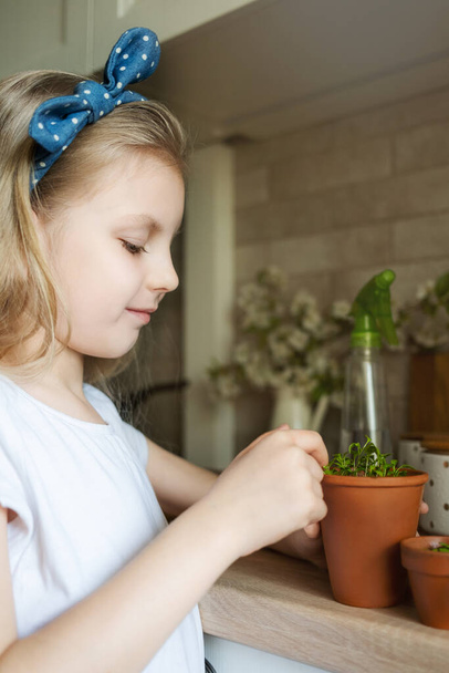 Little girl in her kitchen sitting and holding a pot of seedlings - Foto, Imagen