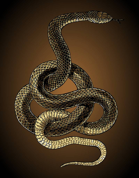venomous snake wrapped around vector template. - Vector, Image