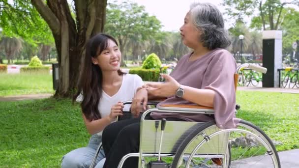 Azjatycki ostrożny opiekun lub pielęgniarka zajmująca się pacjentem na wózku inwalidzkim. Koncepcja szczęśliwej emerytury z troską o opiekuna i Oszczędności i starszego ubezpieczenia zdrowotnego, Szczęśliwa rodzina - Materiał filmowy, wideo