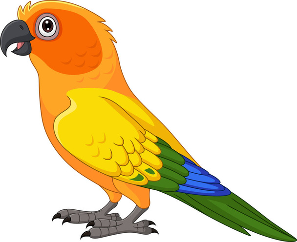 Ilustración vectorial de Dibujos animados Sun Conure Parrot sobre fondo blanco - Vector, Imagen