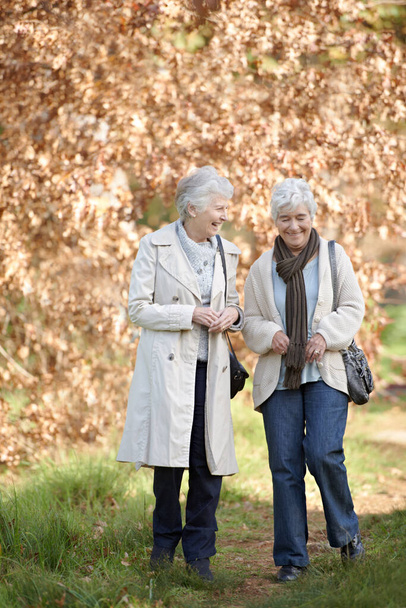 Friendship in their autumn years. Two senior women out for a nature walk - Photo, Image