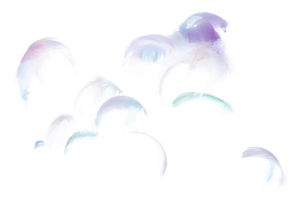 Viele Pastellfedern fliegen isoliert in der Luft über weißem Hintergrund. Geschwollene flauschige weiche Federn als Reinheit glatt wie Traum schwimmende Taube im Himmel. Winkelflug vom Himmel, Fotobewegung - Foto, Bild