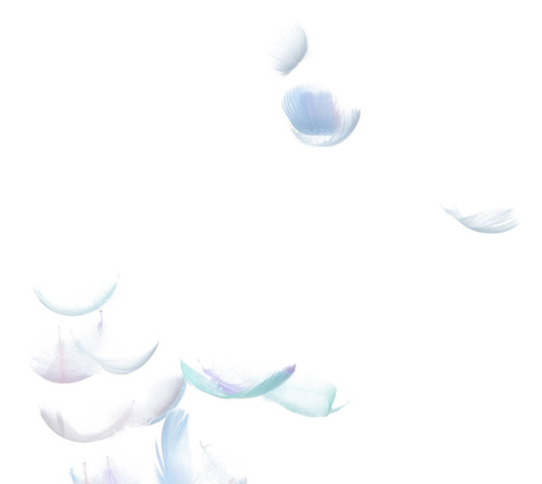 Many Pastel Feather fly fall in Air over white background isolated. Puffy Fluffy soft feathers as purity smooth like dream floating dove in sky. Angle flying from heaven, photo motion - Photo, Image