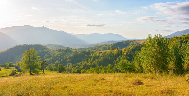 mountainous rural landscape on a sunny afternoon. forested hills and green grassy meadows in evening light. ridge in the distance. sunny weather with fluffy clouds on the bright blue sky - Fotoğraf, Görsel
