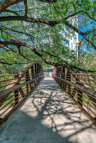 Austin, Teksas - most dla pieszych i rowerzystów pod gałęziami drzew. Prosty wąski most z stalowymi barierami z widokiem na budynek na tle. - Zdjęcie, obraz